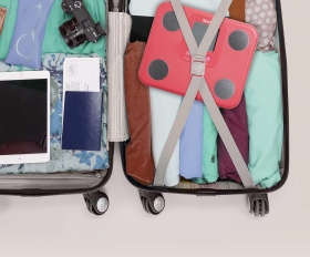 Cantar Corporal Tanita BC 730 Roz